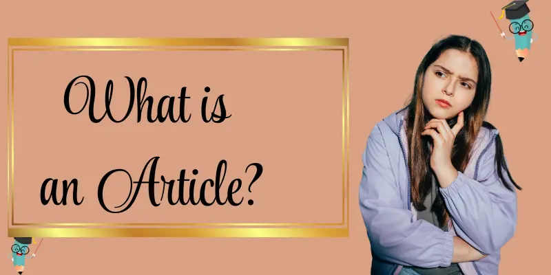 What is an article