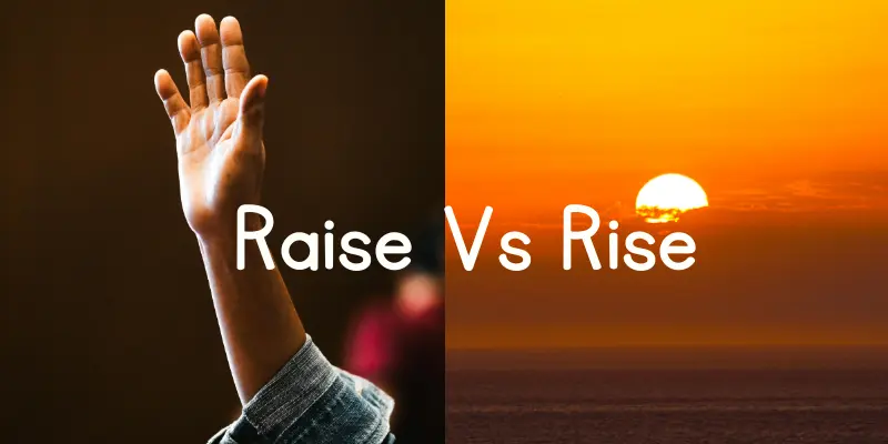 raise vs rise differnce