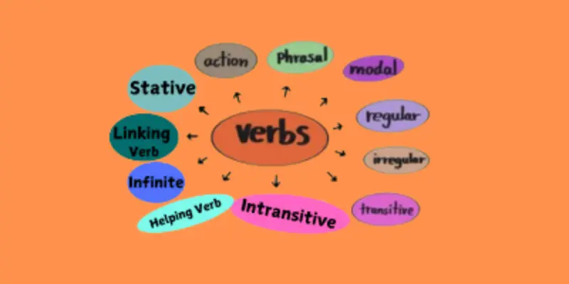 Types of Verbs