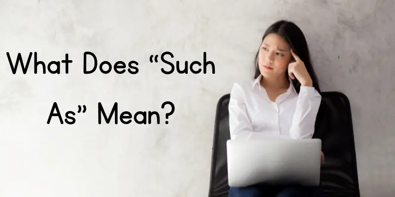what does such as mean